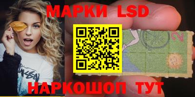 стафф Можга