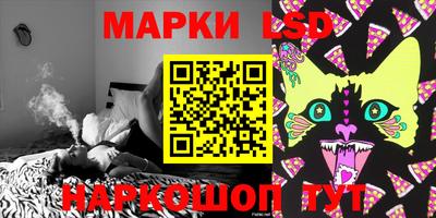 стафф Можга