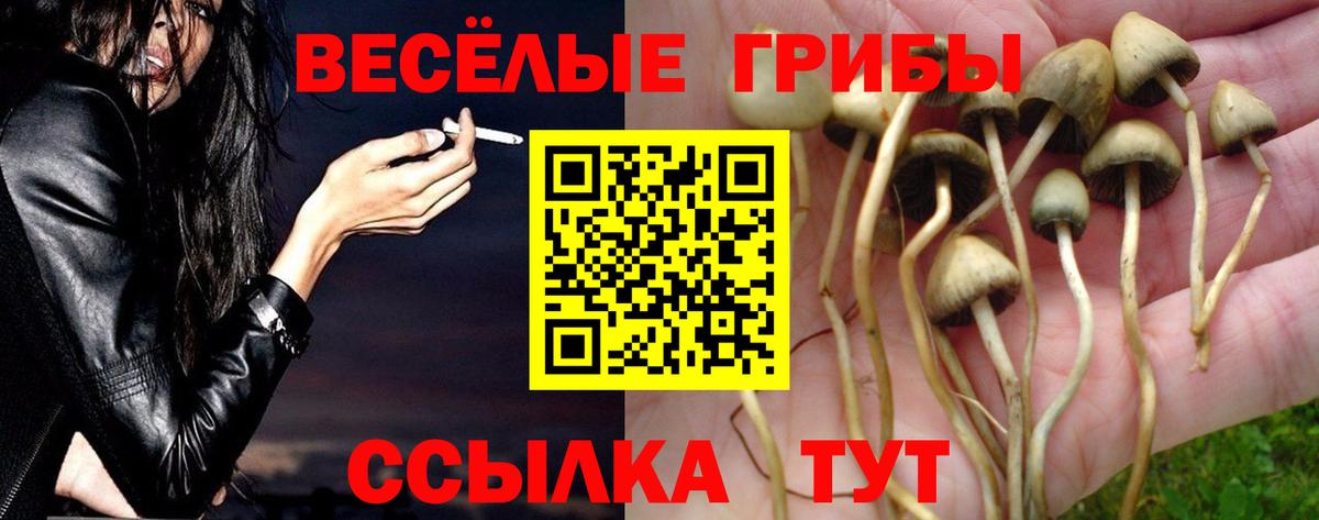Галлюциногенные грибы MAGIC MUSHROOMS  Вход с VPN  Якутск 